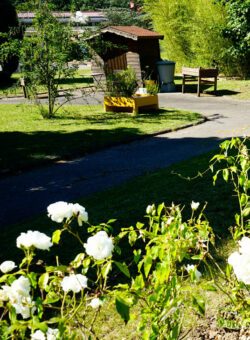 home-foyer-fleurs